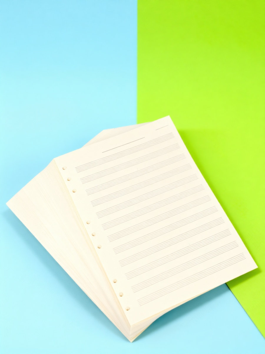 100 fogli di carta per manoscr - Blank Sheet Music Notebook recensione e prezzo